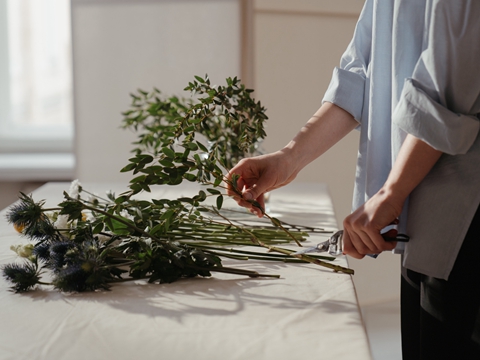 塞爾維亞注冊公司能否享受免稅政策？官方權威解答