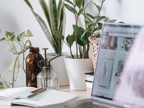 全面解析:中國香港的稅收體制及優勢 全面解析:中國香港的稅收體制及優勢