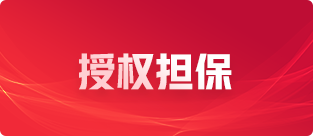 國際專利服務二