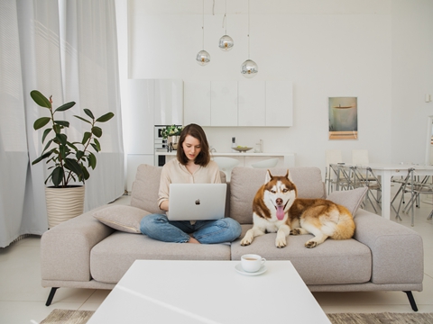 如何注冊柬埔寨公司? 如何注冊柬埔寨公司?