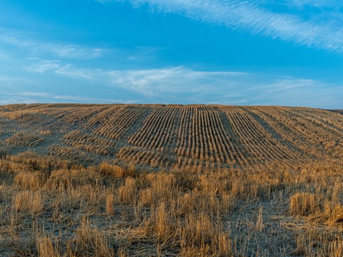 離岸公司轉到新加坡注冊公司的稅務成本是否上升？